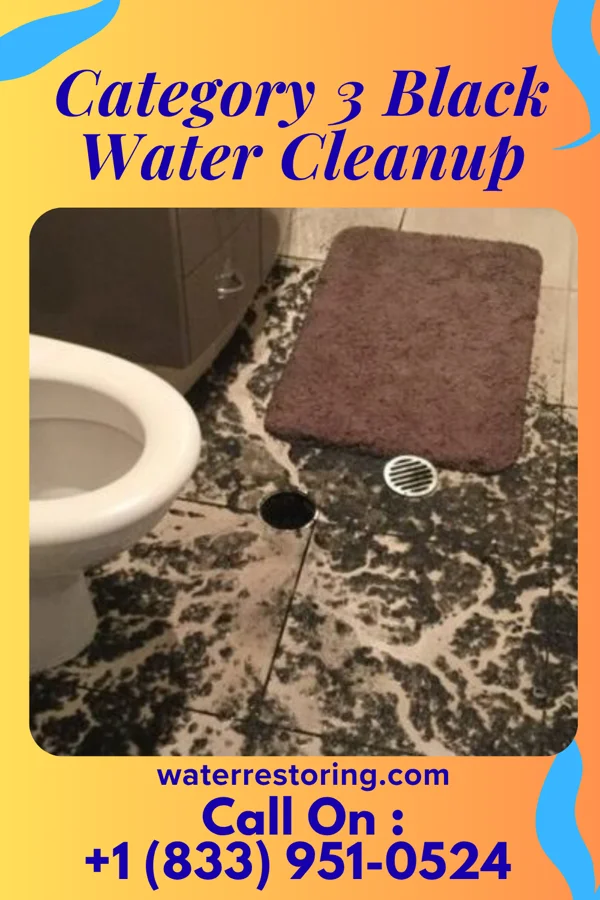Category 3 Black Water Cleanup in Malta, MT