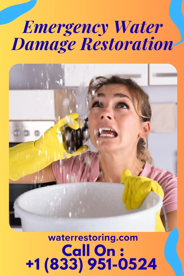Emergency Water Damage Restoration in Malta, MT